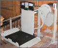 Servoscala con piattaforma